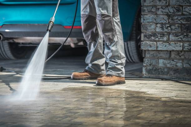 Best Pre-Holiday Cleaning  in Hollywood, FL